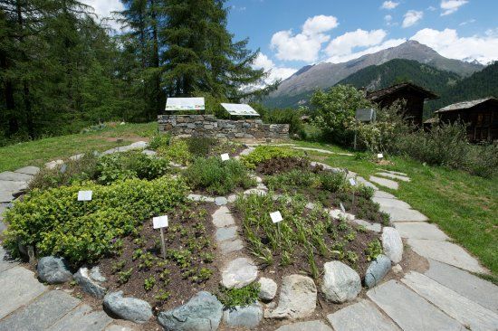 Ricola Kräutergarten